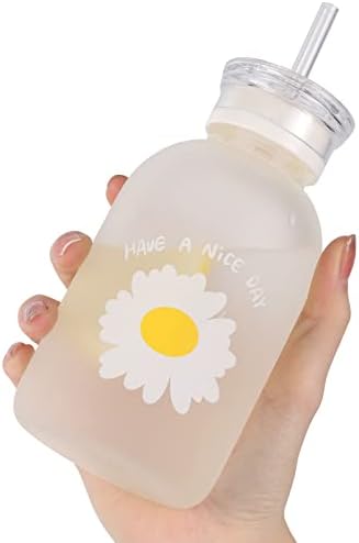 ASTROWORLD WISH YOU WERE HERE Бутилка за вода с мляко сок обем 16,9 унция (480 ml) със Скалата, 2 Капачки и 2 соломинками, Малка Matte лайка, Преносим стъклена Чаша за вода, бутилки с едно цвете и Трева, Креативна Удобна